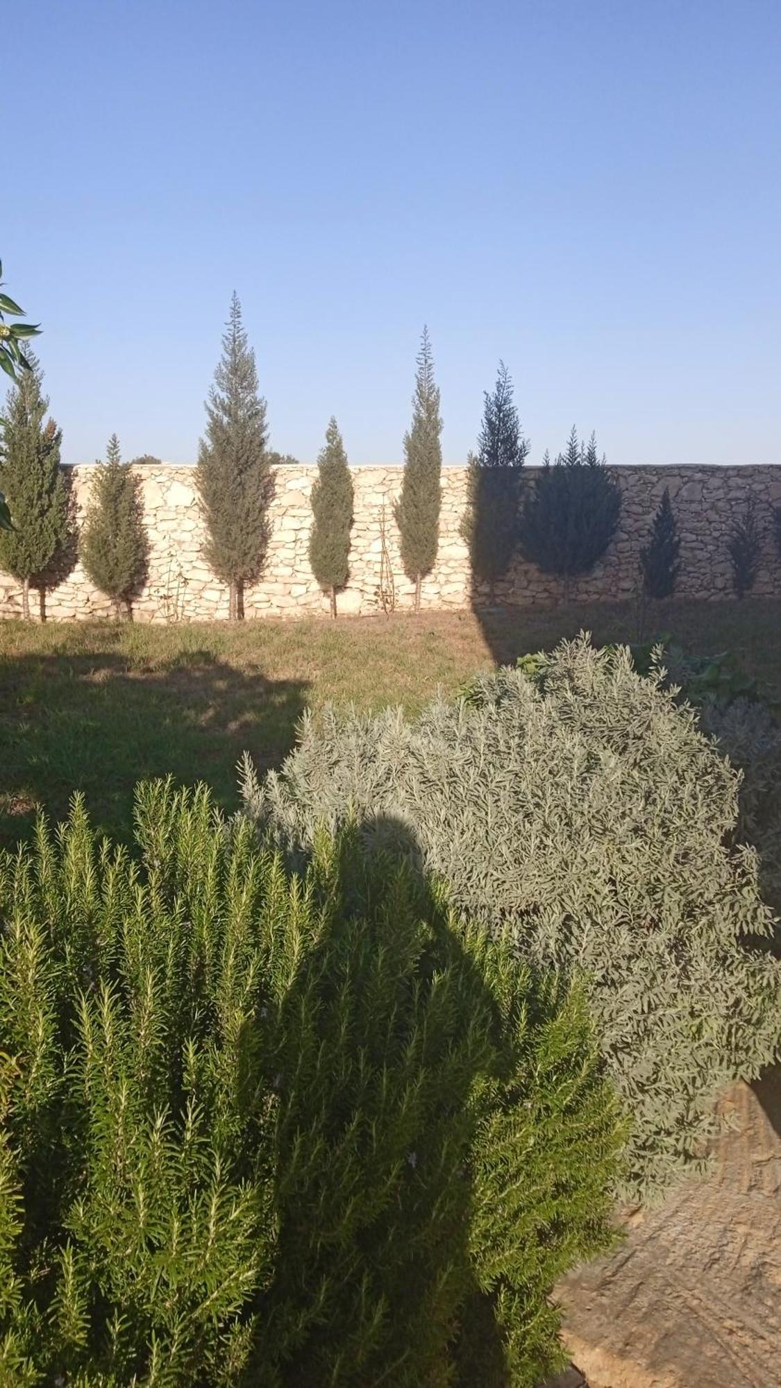 Villa Rabia 西迪考乌奇 外观 照片